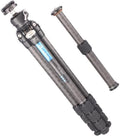 Leofoto Ranger LS 284C LH 30 - Trípode de fibra de carbono con rótula de bola - Altura de 21,6 a 159 cm y carga máxima de 10 kg - Patas con 3 ángulos para macro y fotografía